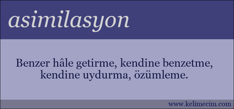 asimilasyon kelimesinin anlamı ne demek?