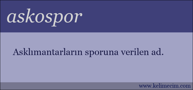 askospor kelimesinin anlamı ne demek?