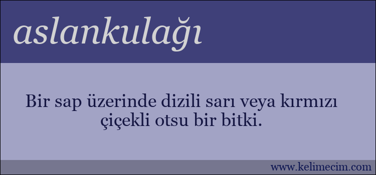 aslankulağı kelimesinin anlamı ne demek?