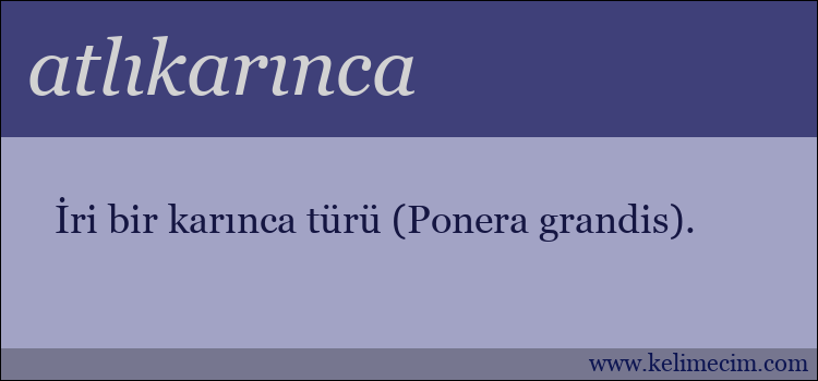 atlıkarınca kelimesinin anlamı ne demek?