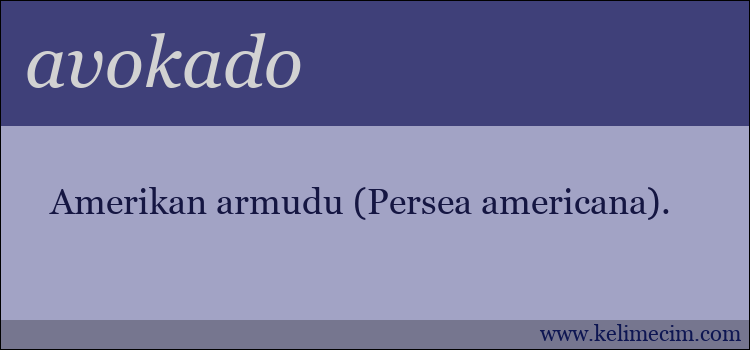 avokado kelimesinin anlamı ne demek?