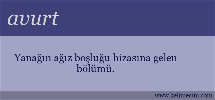 avurt kelimesinin anlamı ne demek?