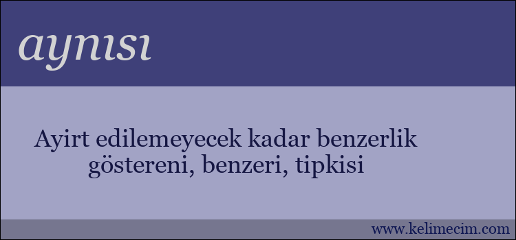 aynısı kelimesinin anlamı ne demek?