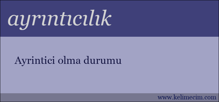 ayrıntıcılık kelimesinin anlamı ne demek?