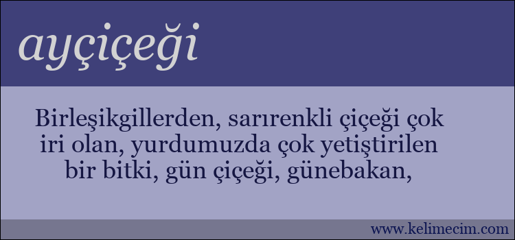 ayçiçeği kelimesinin anlamı ne demek?