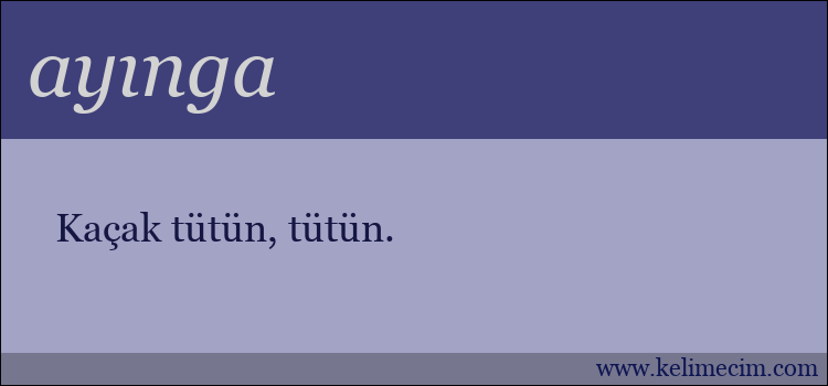 ayınga kelimesinin anlamı ne demek?