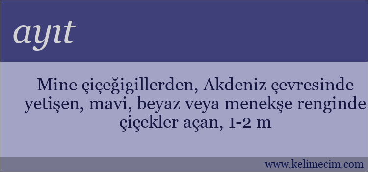 ayıt kelimesinin anlamı ne demek?