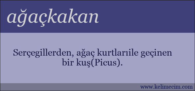 ağaçkakan kelimesinin anlamı ne demek?