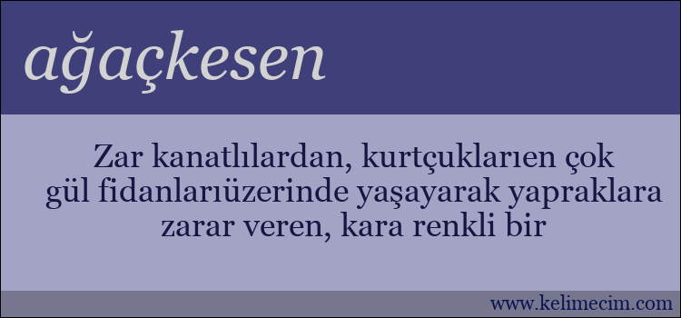 ağaçkesen kelimesinin anlamı ne demek?