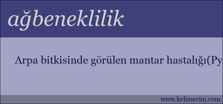 ağbeneklilik kelimesinin anlamı ne demek?