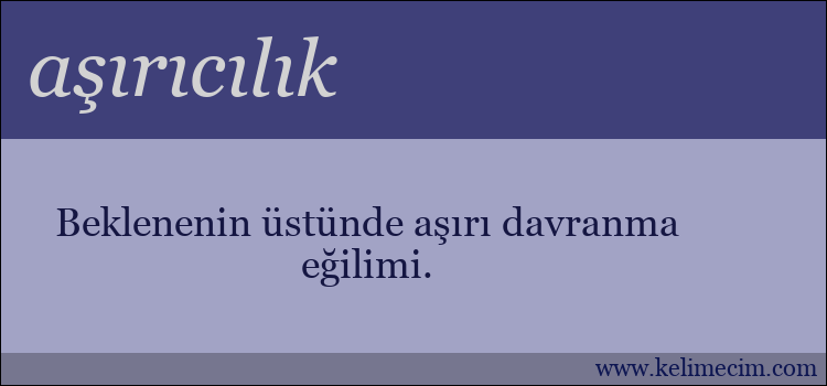 aşırıcılık kelimesinin anlamı ne demek?