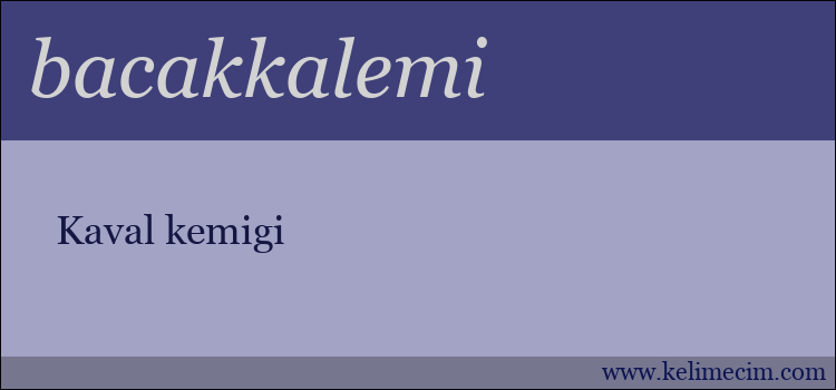 bacakkalemi kelimesinin anlamı ne demek?