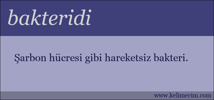 bakteridi kelimesinin anlamı ne demek?