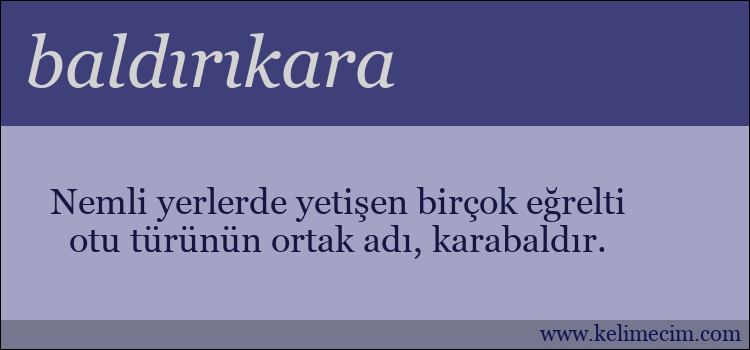 baldırıkara kelimesinin anlamı ne demek?