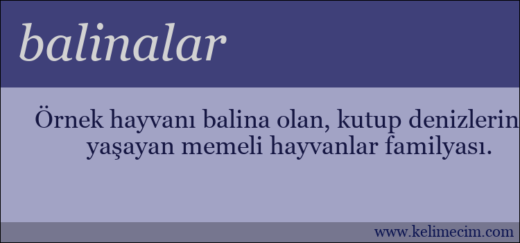 balinalar kelimesinin anlamı ne demek?