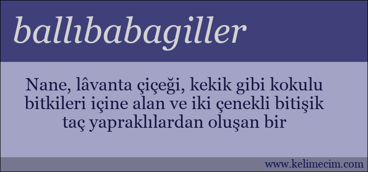 ballıbabagiller kelimesinin anlamı ne demek?