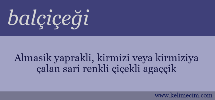 balçiçeği kelimesinin anlamı ne demek?