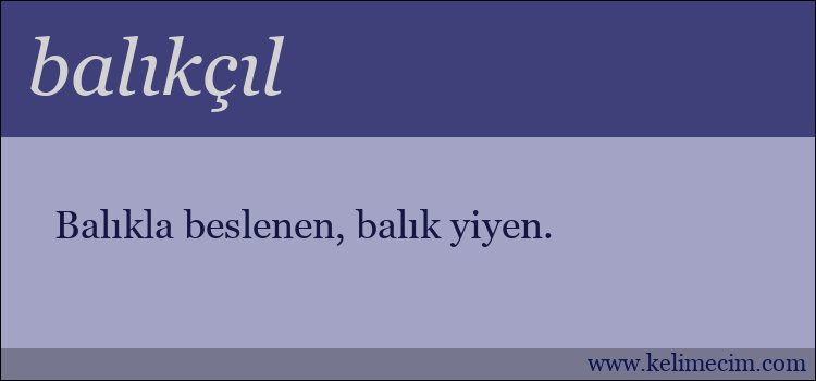 balıkçıl kelimesinin anlamı ne demek?