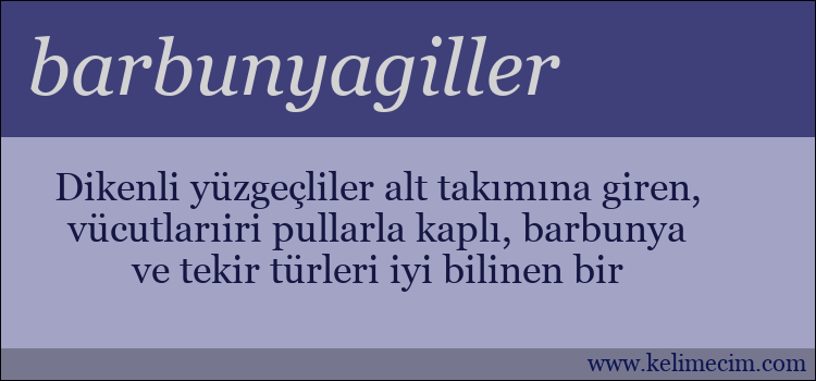 barbunyagiller kelimesinin anlamı ne demek?