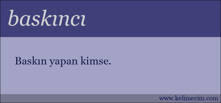 baskıncı kelimesinin anlamı ne demek?