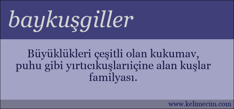 baykuşgiller kelimesinin anlamı ne demek?