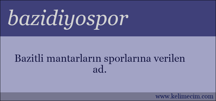 bazidiyospor kelimesinin anlamı ne demek?