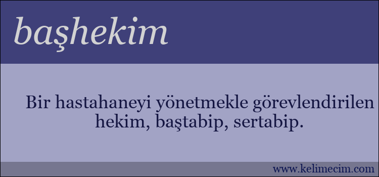 başhekim kelimesinin anlamı ne demek?