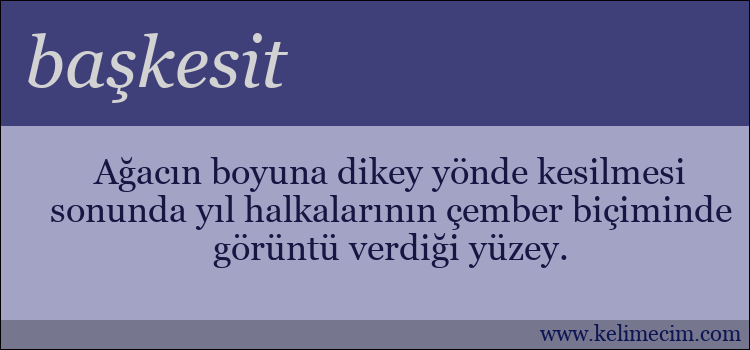 başkesit kelimesinin anlamı ne demek?