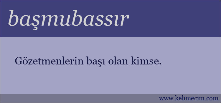 başmubassır kelimesinin anlamı ne demek?