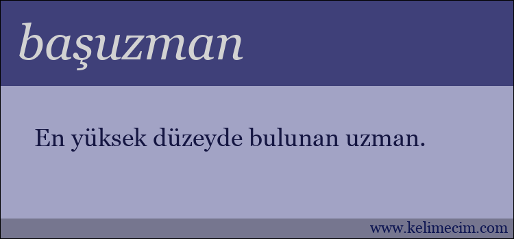 başuzman kelimesinin anlamı ne demek?