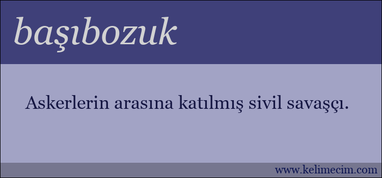 başıbozuk kelimesinin anlamı ne demek?