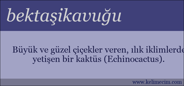 bektaşikavuğu kelimesinin anlamı ne demek?