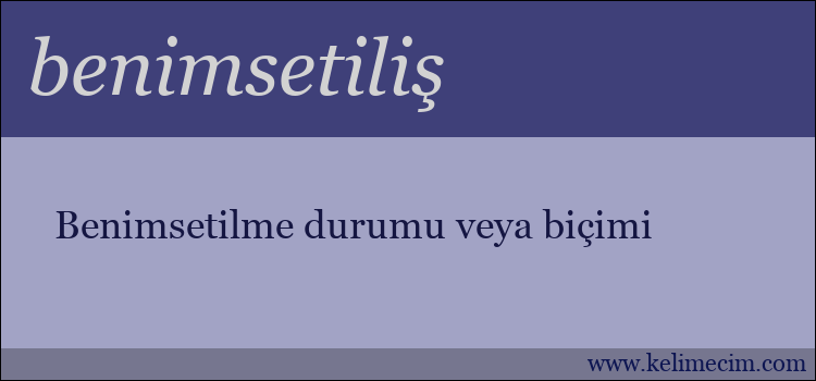 benimsetiliş kelimesinin anlamı ne demek?