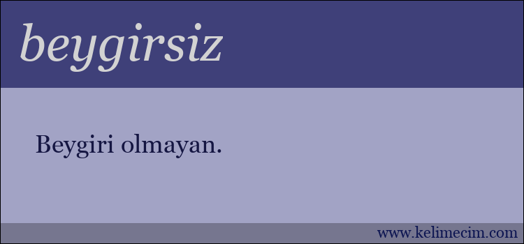 beygirsiz kelimesinin anlamı ne demek?