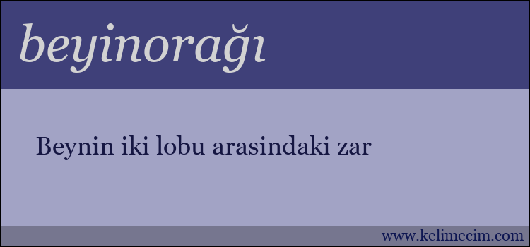 beyinorağı kelimesinin anlamı ne demek?