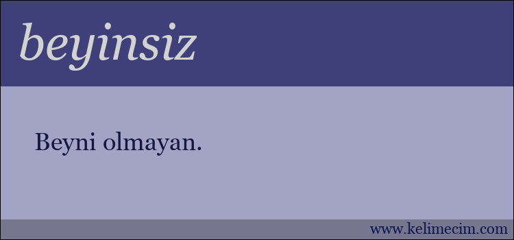 beyinsiz kelimesinin anlamı ne demek?