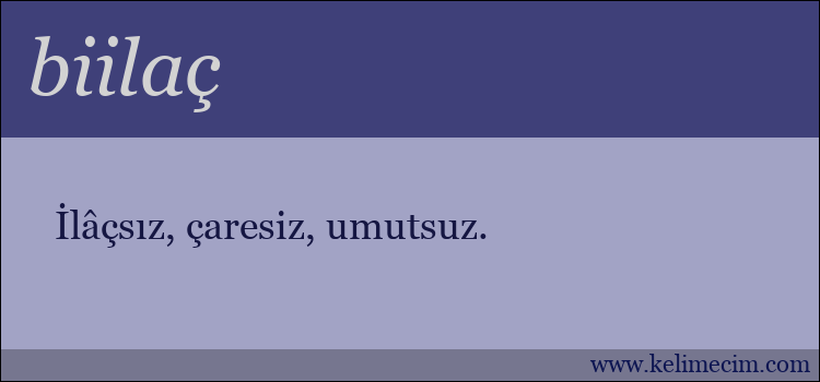 biilaç kelimesinin anlamı ne demek?