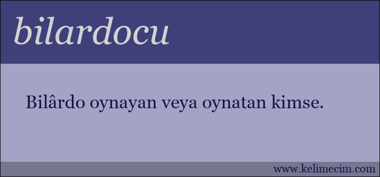 bilardocu kelimesinin anlamı ne demek?