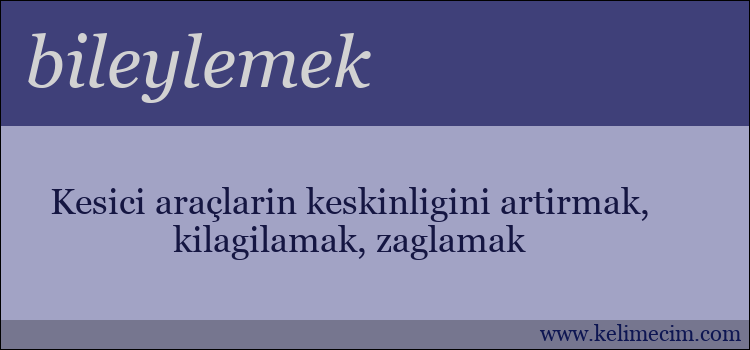 bileylemek kelimesinin anlamı ne demek?