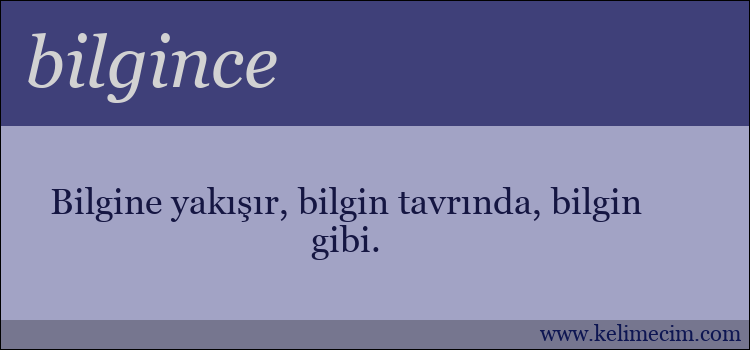 bilgince kelimesinin anlamı ne demek?