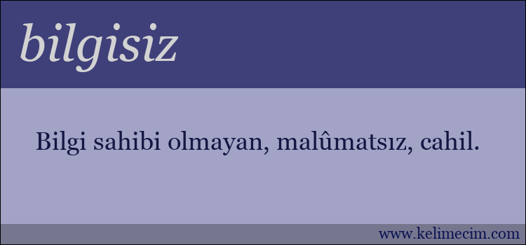 bilgisiz kelimesinin anlamı ne demek?