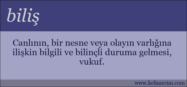 biliş kelimesinin anlamı ne demek?