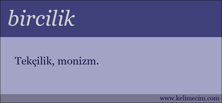 bircilik kelimesinin anlamı ne demek?