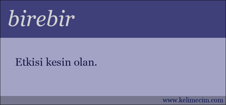 birebir kelimesinin anlamı ne demek?