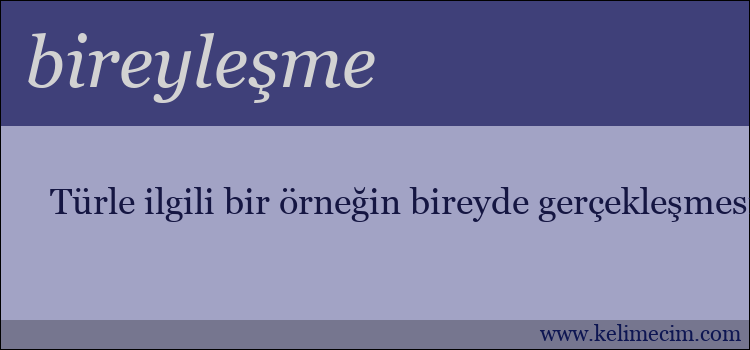 bireyleşme kelimesinin anlamı ne demek?