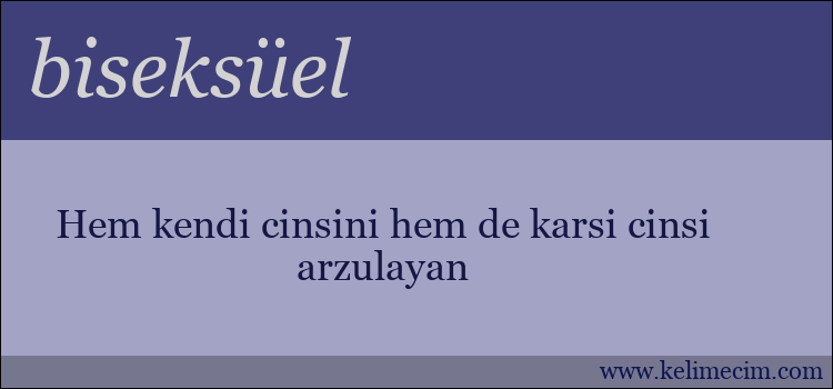 biseksüel kelimesinin anlamı ne demek?