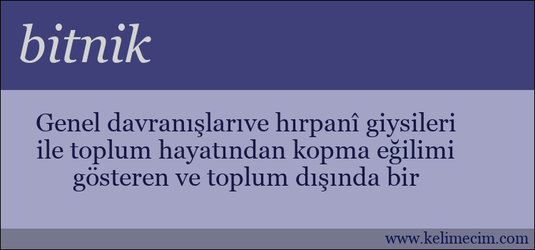 bitnik kelimesinin anlamı ne demek?