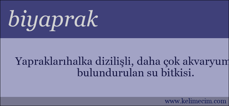 biyaprak kelimesinin anlamı ne demek?