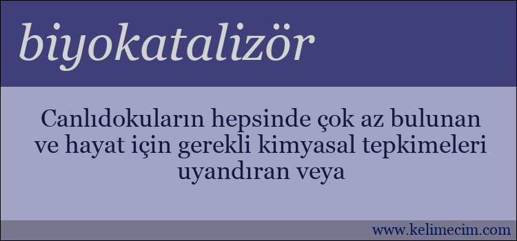 biyokatalizör kelimesinin anlamı ne demek?