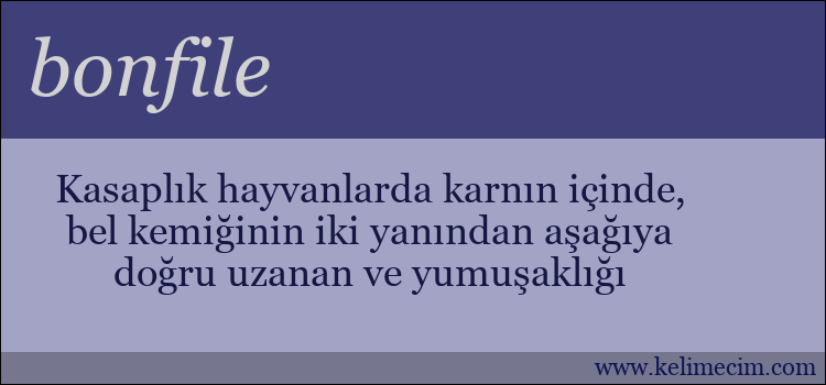 bonfile kelimesinin anlamı ne demek?